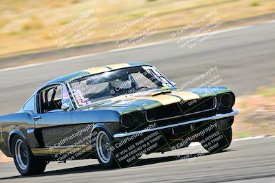 media/Mar-23-2025-West Coast Racing (Sun) [[de161b708f]]/Yellow Group/Session 3 (Turns 3 and 5)/